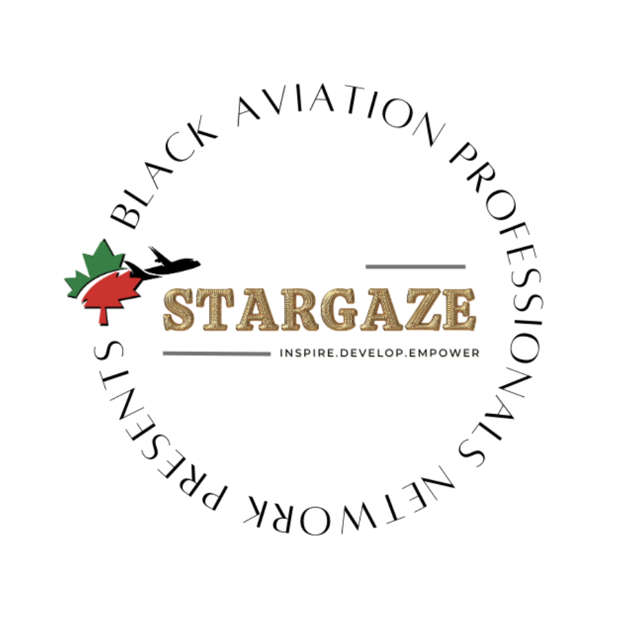 Stargaze Gala – Black Aviation Professionals Network logo